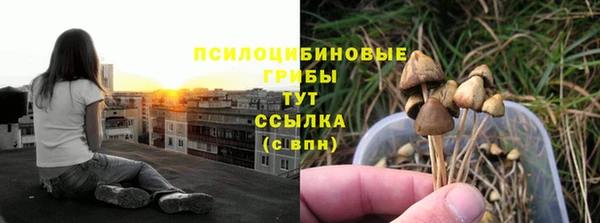 мдма Белокуриха